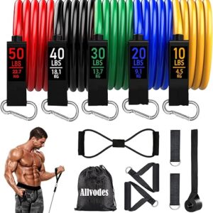 Resistance Bands, Resistance Band Set, Workout Bands, Exercise Bands for Men and Women, Exercise Bands with Door Anchor, Physical Therapy, Shape Body