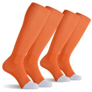 CS CELERSPORT 2/3 Pack Baseball Soccer Softball Socks for Youth & Adult Multi-sport Tube Socks