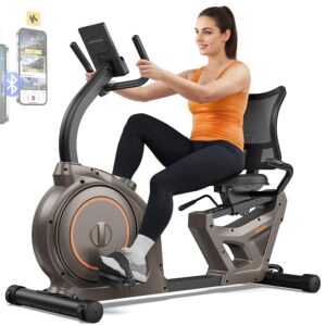 Niceday Recumbent Exercise Bike, Recumbent Bike for Home, Recumbent Stationary Bike 400LBS Weight Capacity, Magnetic Recumbent Bike with Smart APP, LCD Monitor, Heart Rate Handle