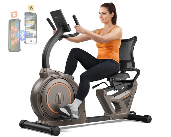 Niceday Recumbent Exercise Bike, Recumbent Bike for Home, Recumbent Stationary Bike 400LBS Weight Capacity, Magnetic Recumbent Bike with Smart APP, LCD Monitor, Heart Rate Handle